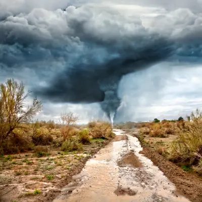 Dirt road, vegetation on each side, with large storm cloud in the background with flash flood water in the foreground