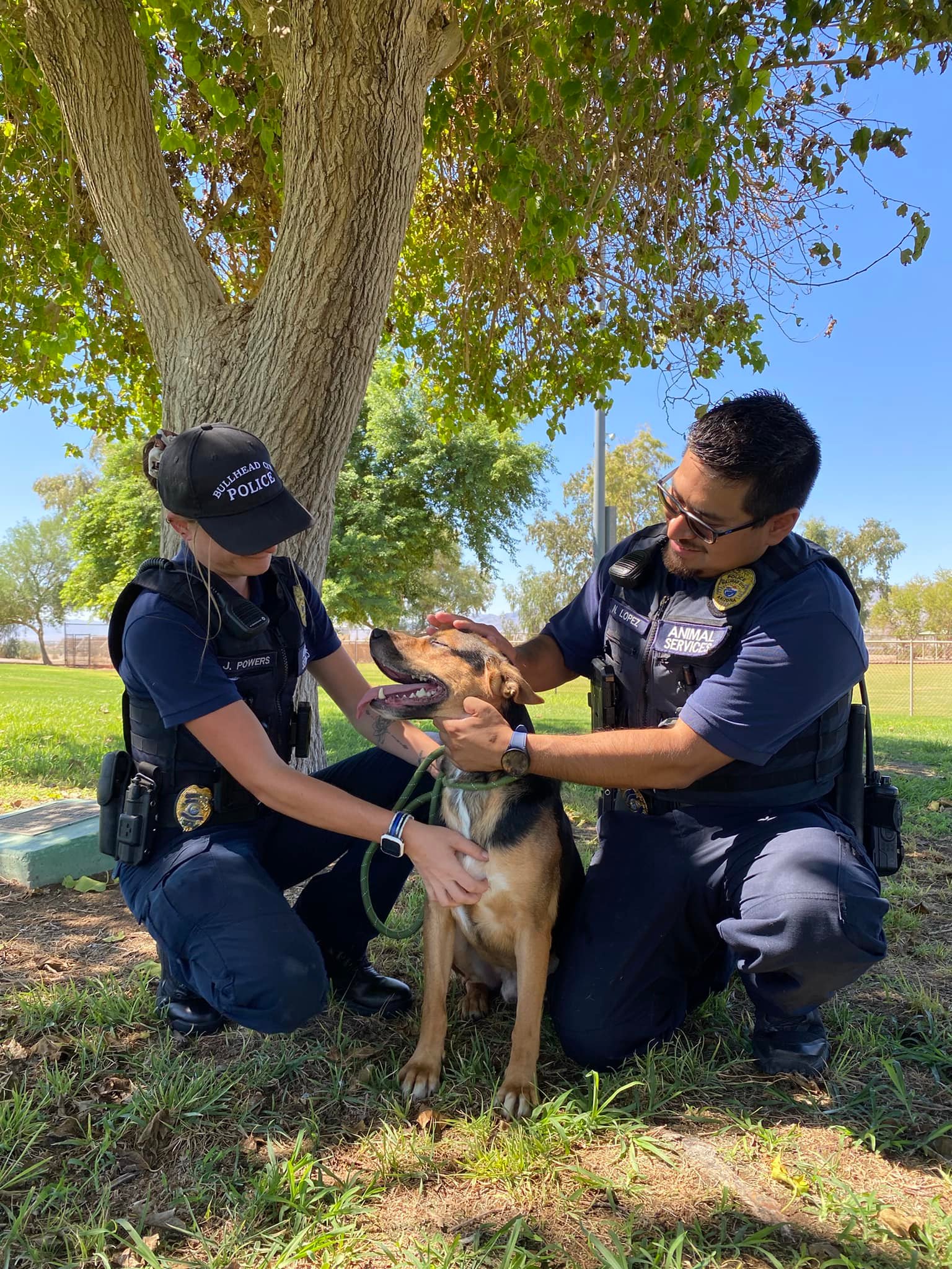 animal control officers with a dog