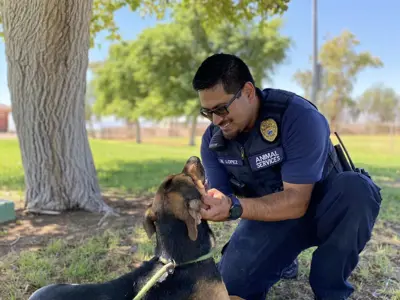 animal officer petting a dog